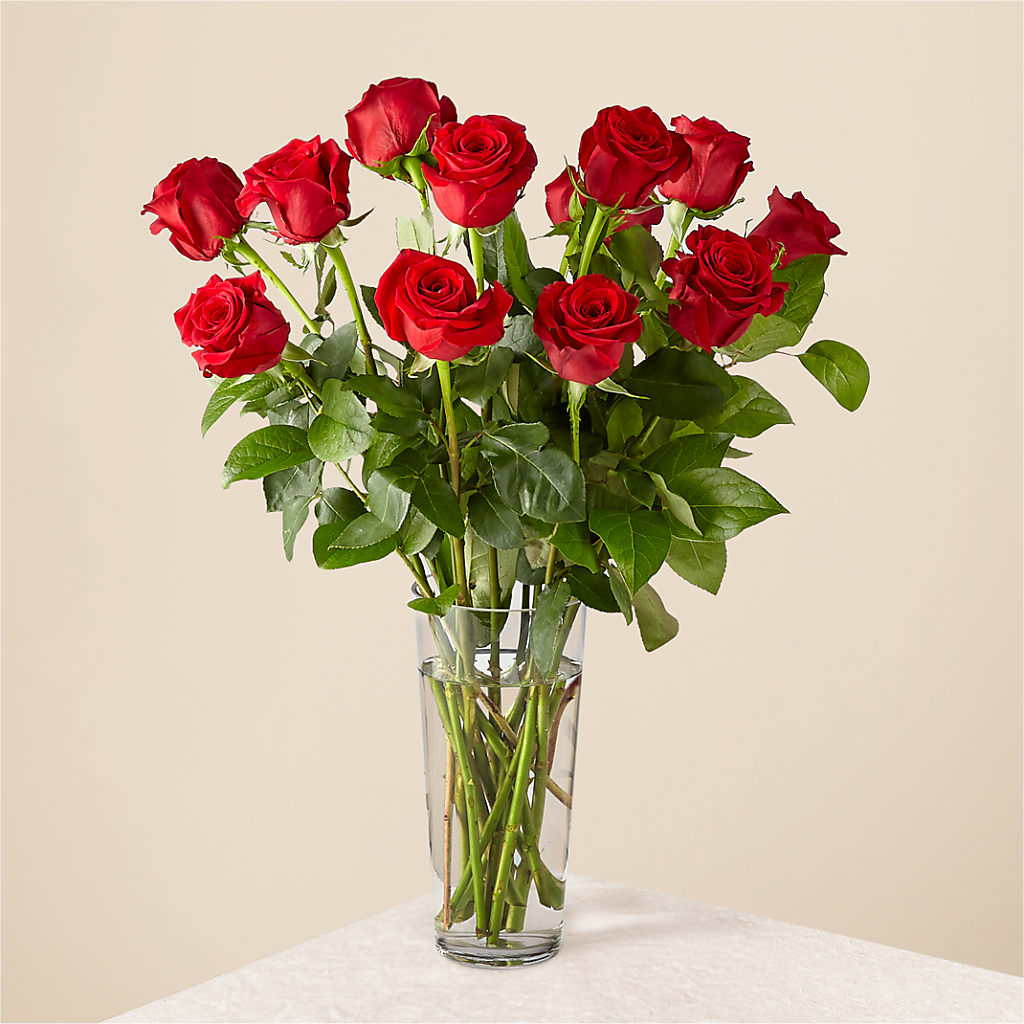 Long Stem Red Rose Bouquet – Print A Bunch Florists, Orleans ON