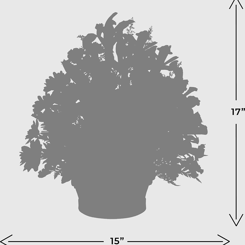 The Wondrous Nature Bouquet – Print A Bunch Florists, Orleans ON
