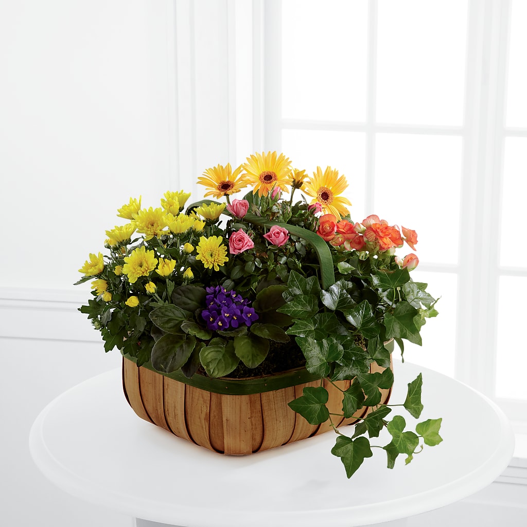 Gentle Blossoms Basket – Print A Bunch Florists, Orleans ON