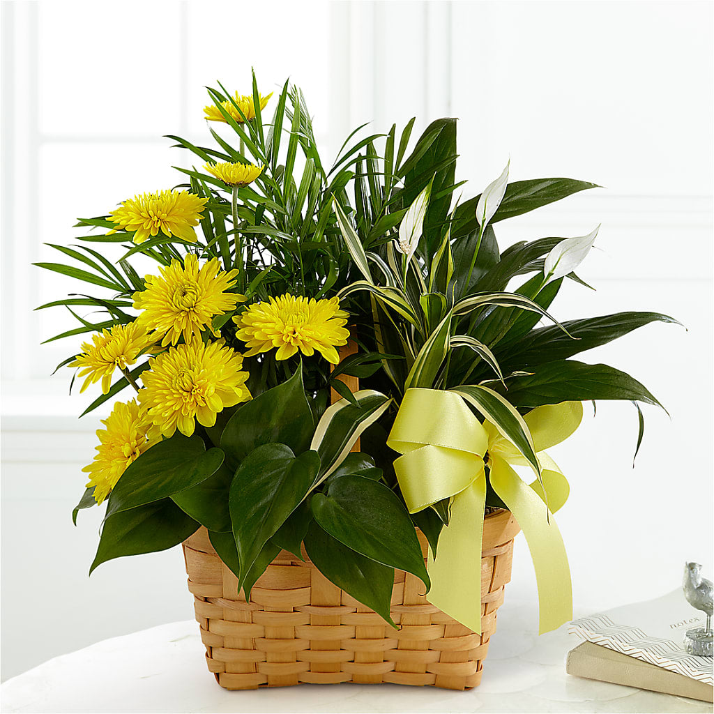 Loving Light Dishgarden – Print A Bunch Florists, Orleans ON