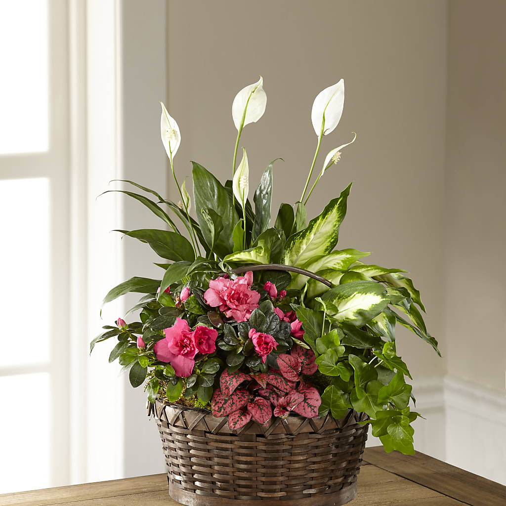 Dream in Pink Dishgarden – Print A Bunch Florists, Orleans ON