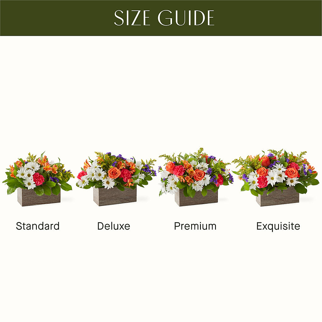 Oopsie Daisy Box Bouquet – Print A Bunch Florists, Orleans ON