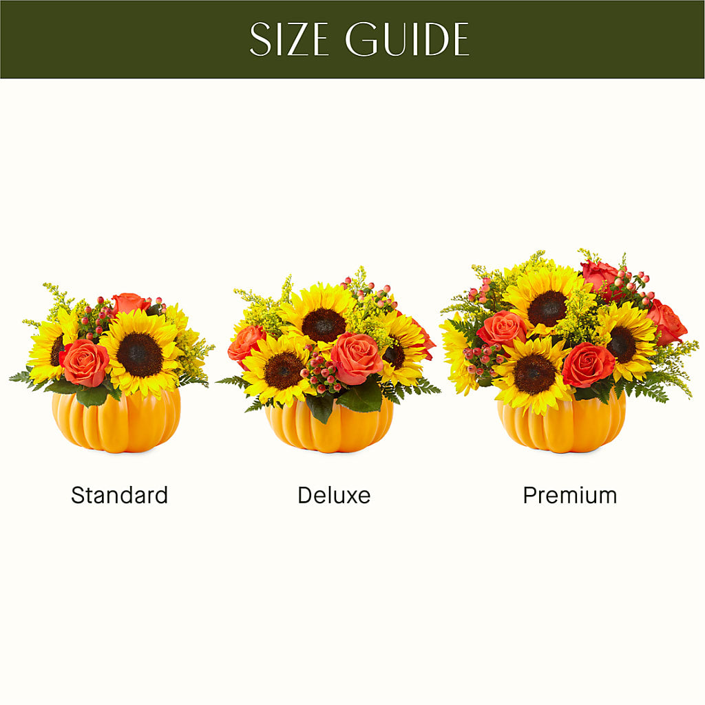 Pick of the Patch Pumpkin Bouquet – Print A Bunch Florists, Orleans ON