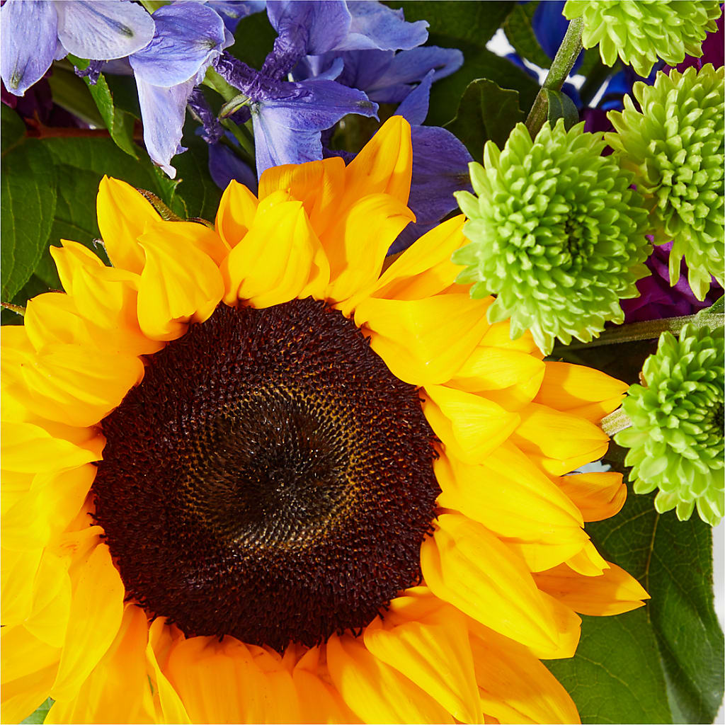 Catching Rays Bouquet – Print A Bunch Florists, Orleans ON
