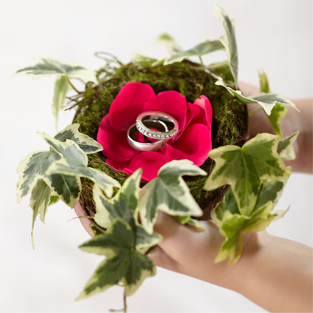 Lila Rose Ring Nest – Print A Bunch Florists, Orleans ON