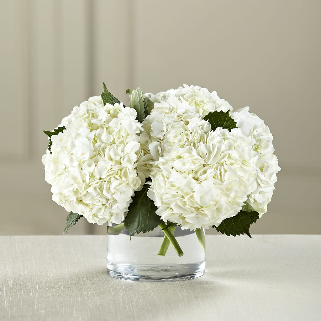 White Hydrangea Bouquet – Print A Bunch Florists, Orleans ON