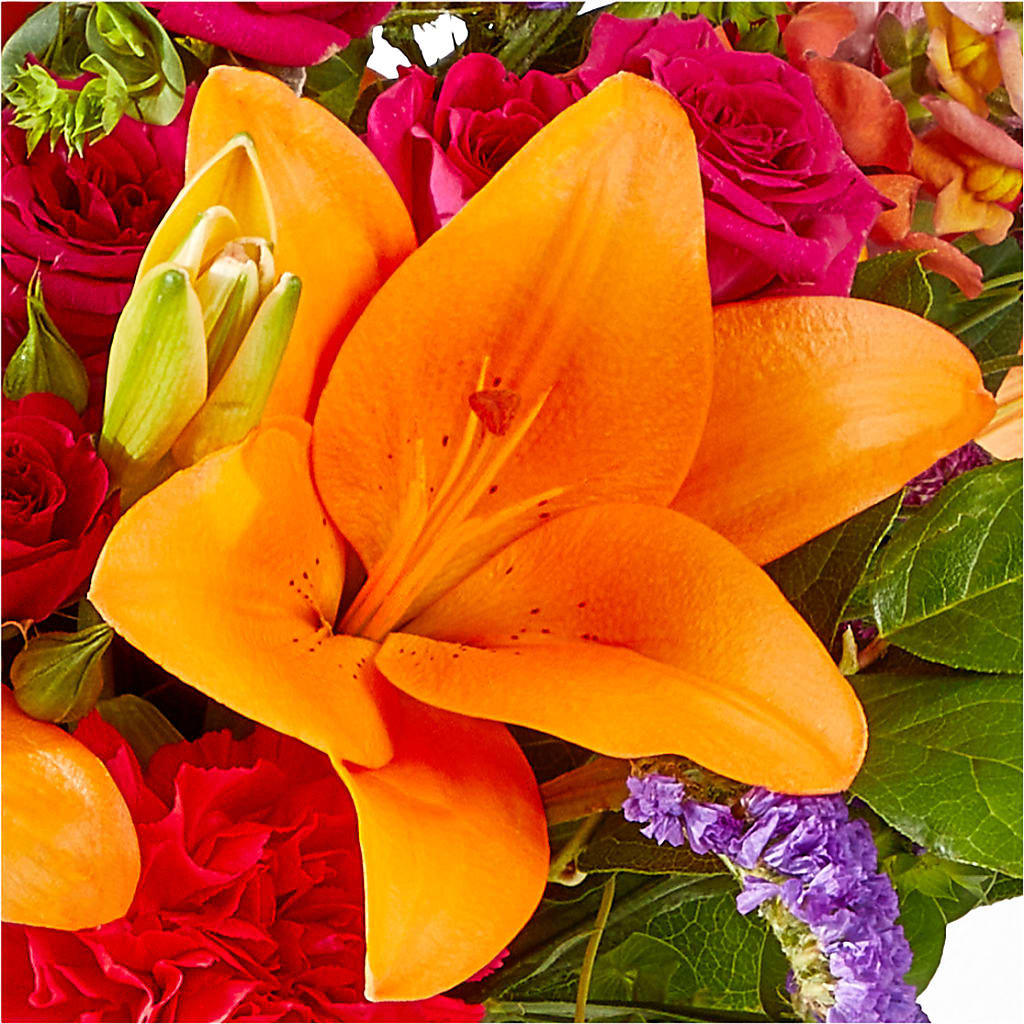Birthday Palooza Bouquet –  Print A Bunch Florists, Orleans ON