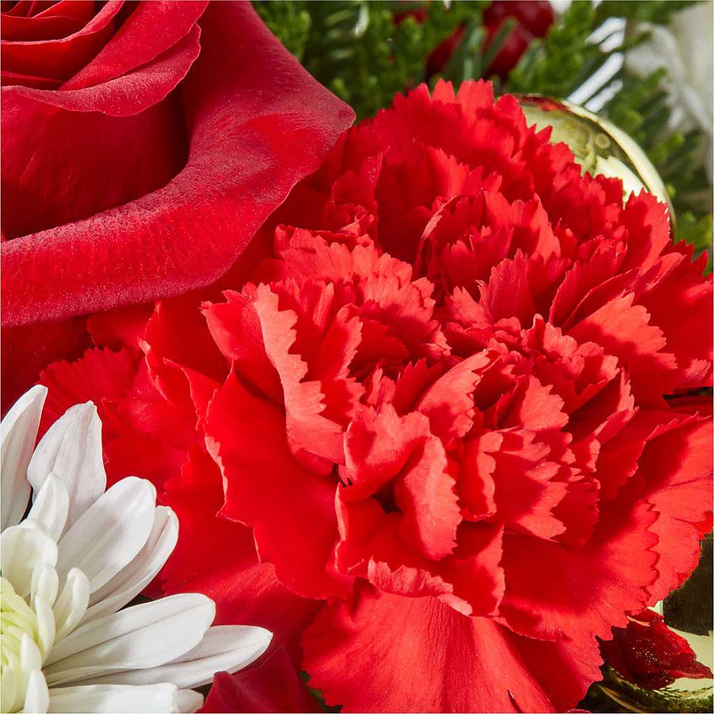 Merry Magic Nutcracker –  Print A Bunch Florists, Orleans ON