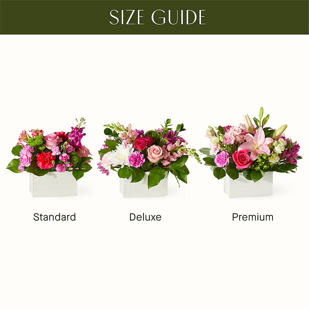 Sweetberry Box – A Florist Original –  Print A Bunch Florists, Orleans ON