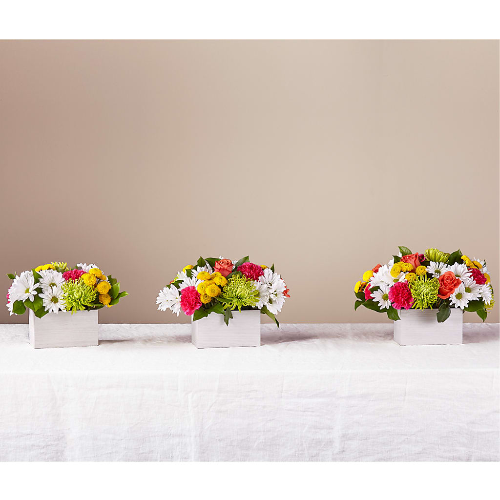 Sorbet Bouquet –  Print A Bunch Florists, Orleans ON