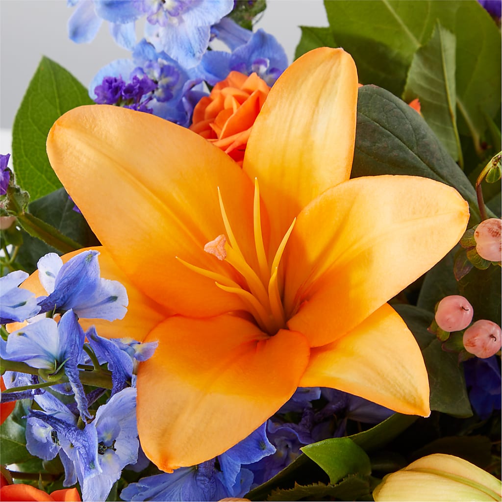 Radiant Citrus Box Bouquet –  Print A Bunch Florists, Orleans ON