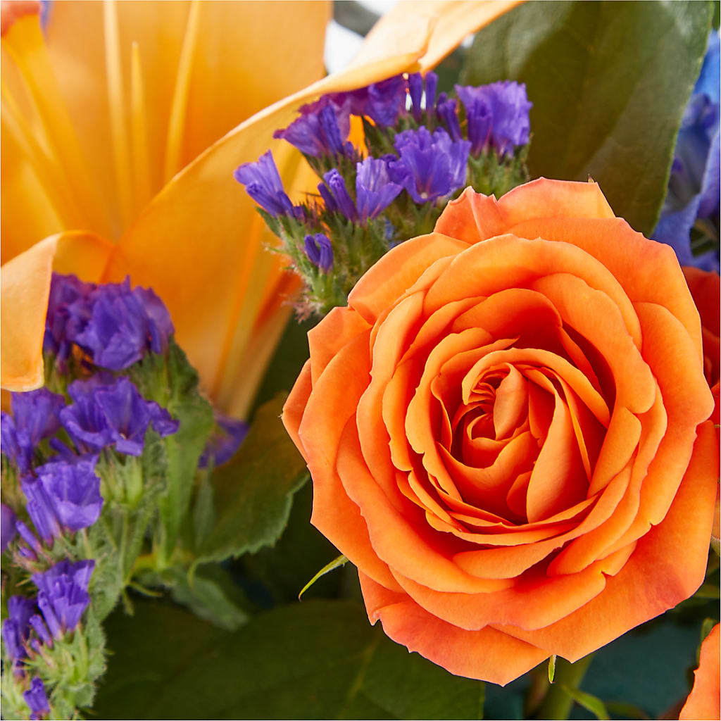 Radiant Citrus Box Bouquet –  Print A Bunch Florists, Orleans ON