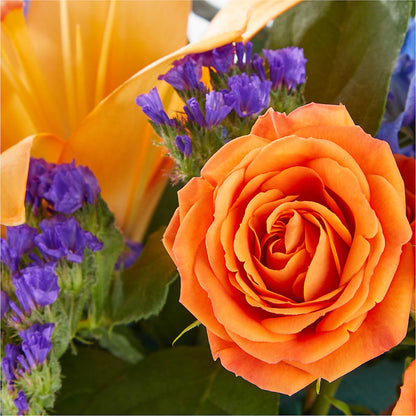 Radiant Citrus Box Bouquet –  Print A Bunch Florists, Orleans ON
