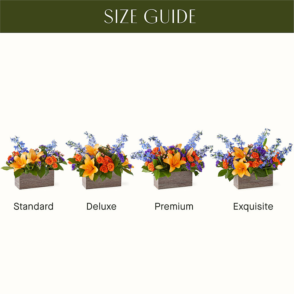 Radiant Citrus Box Bouquet –  Print A Bunch Florists, Orleans ON