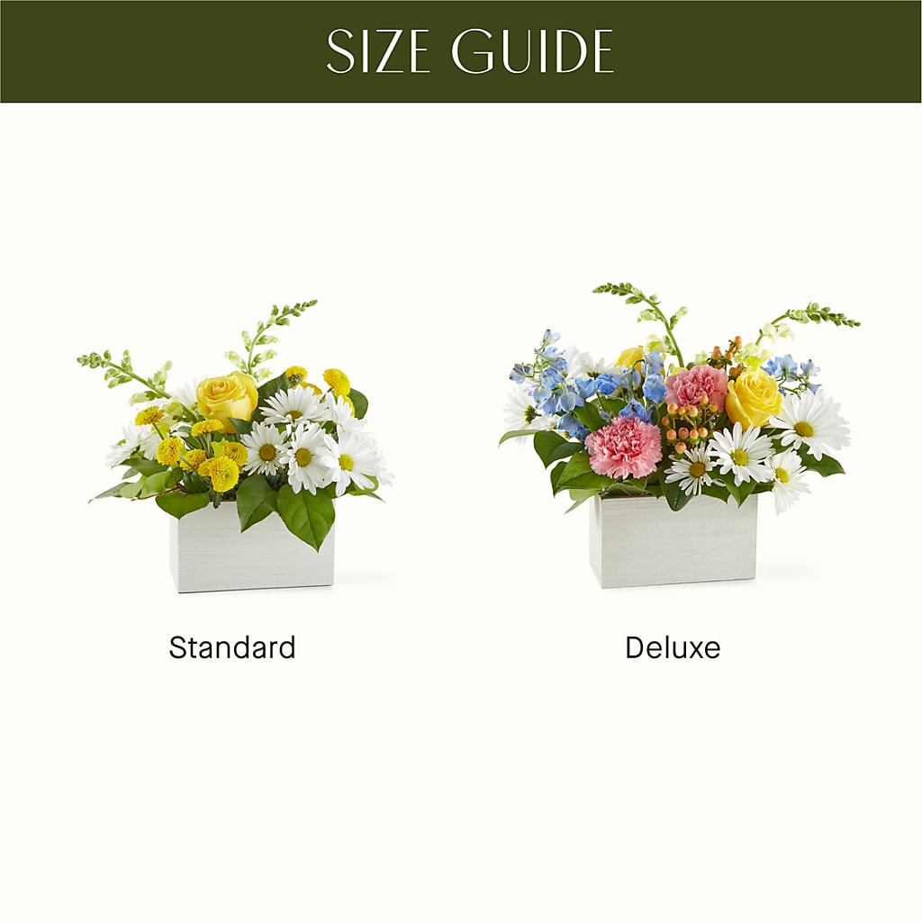 Sun Salutation Box Bouquet –  Print A Bunch Florists, Orleans ON