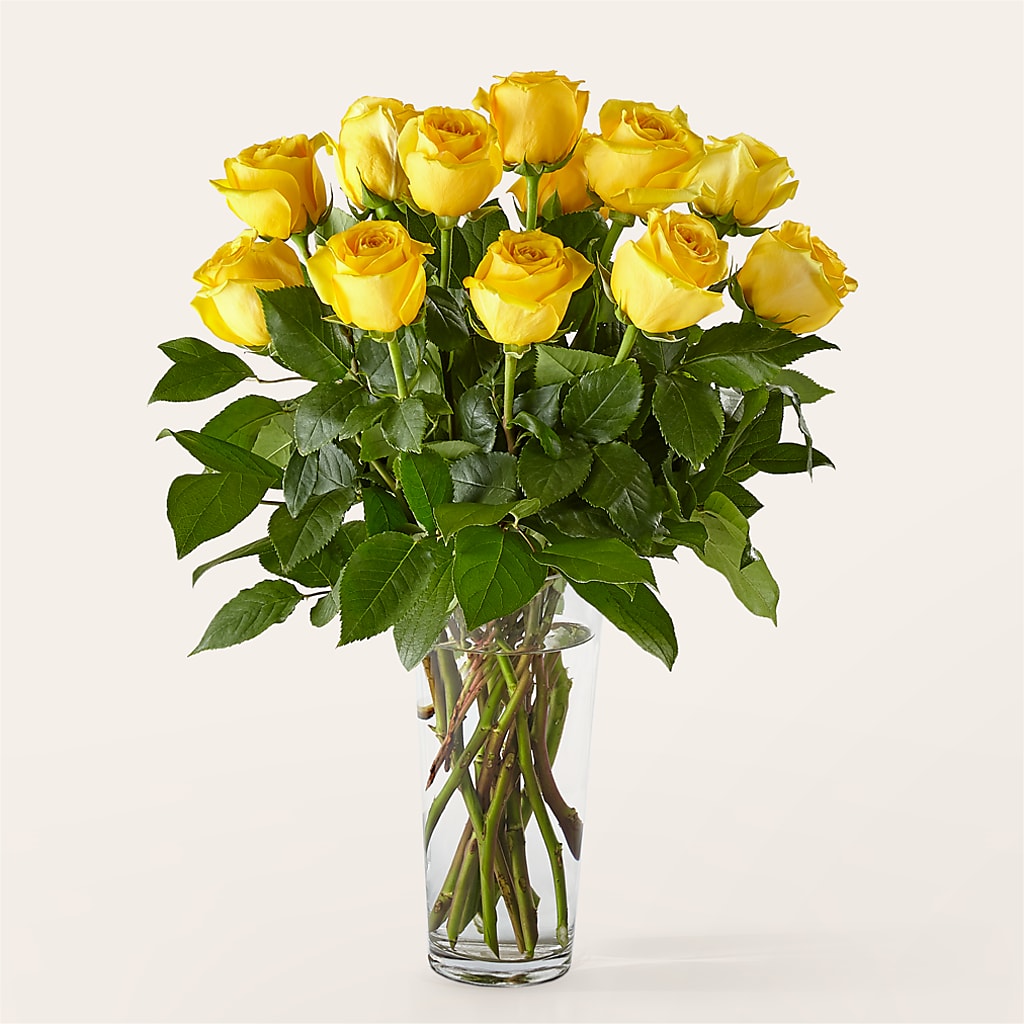 Long Stem Yellow Rose Bouquet –  Print A Bunch Florists, Orleans ON