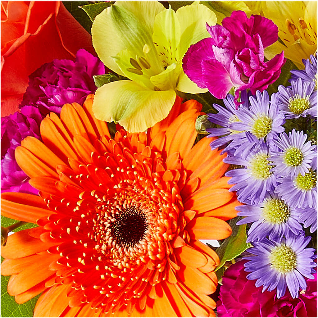 Tricks & Treats Pumpkin –  Print A Bunch Florists, Orleans ON