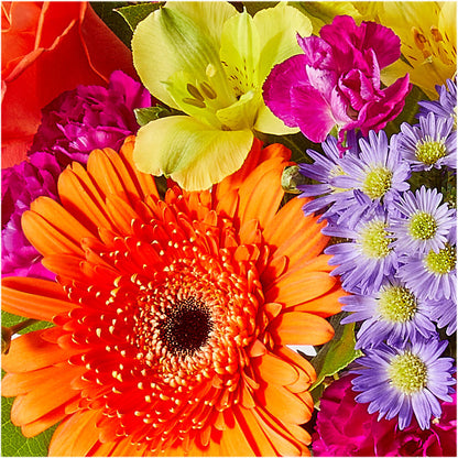 Tricks & Treats Pumpkin –  Print A Bunch Florists, Orleans ON