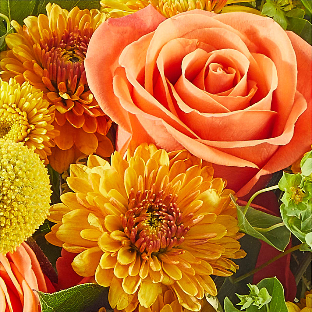 Gourdgeous Pumpkin –  Print A Bunch Florists, Orleans ON