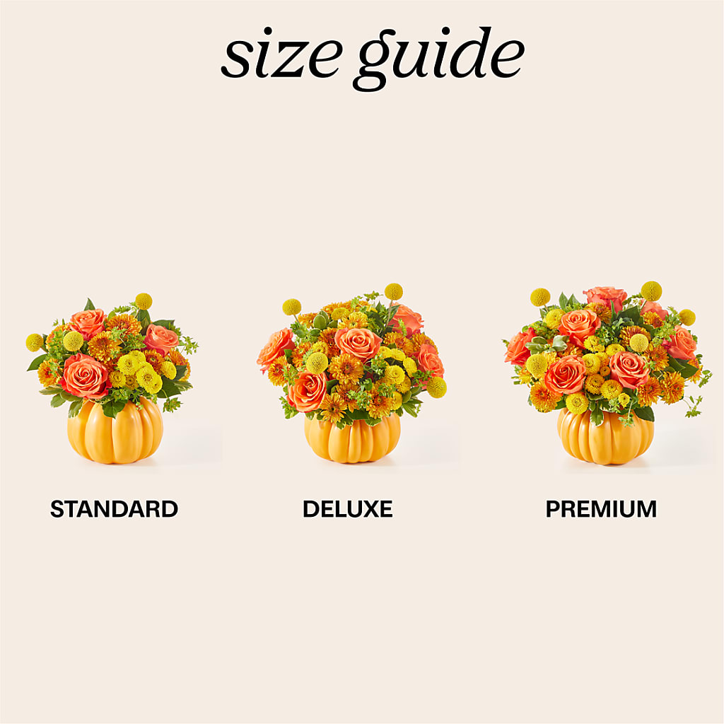 Gourdgeous Pumpkin –  Print A Bunch Florists, Orleans ON