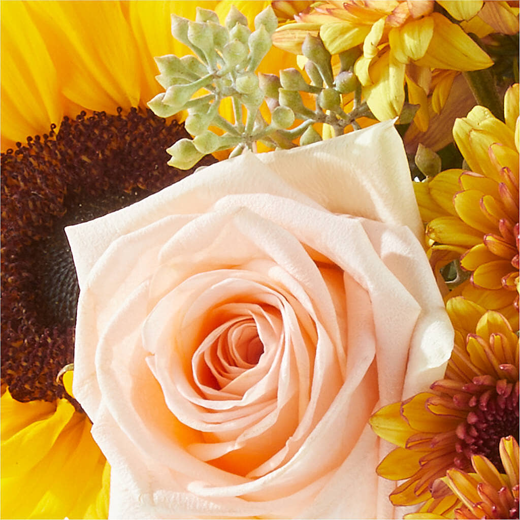 Pumpkin to Talk About Bouquet –  Print A Bunch Florists, Orleans ON
