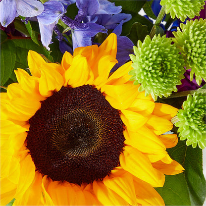 Catching Rays Bouquet –  Print A Bunch Florists, Orleans ON