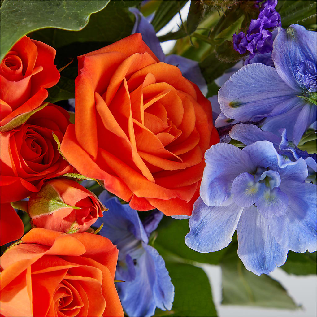 Radiant Citrus Bouquet –  Print A Bunch Florists, Orleans ON