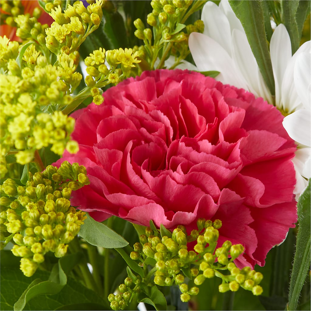 Oopsie Daisy Bouquet –  Print A Bunch Florists, Orleans ON