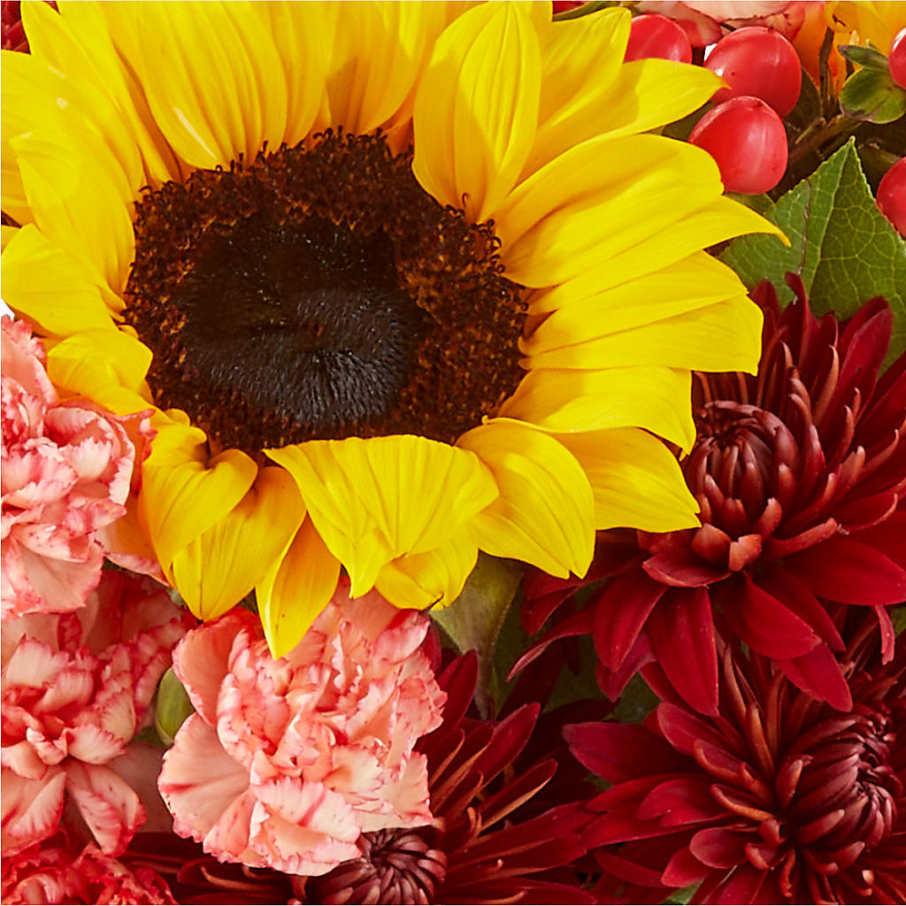Fresh Cider Bouquet –  Print A Bunch Florists, Orleans ON