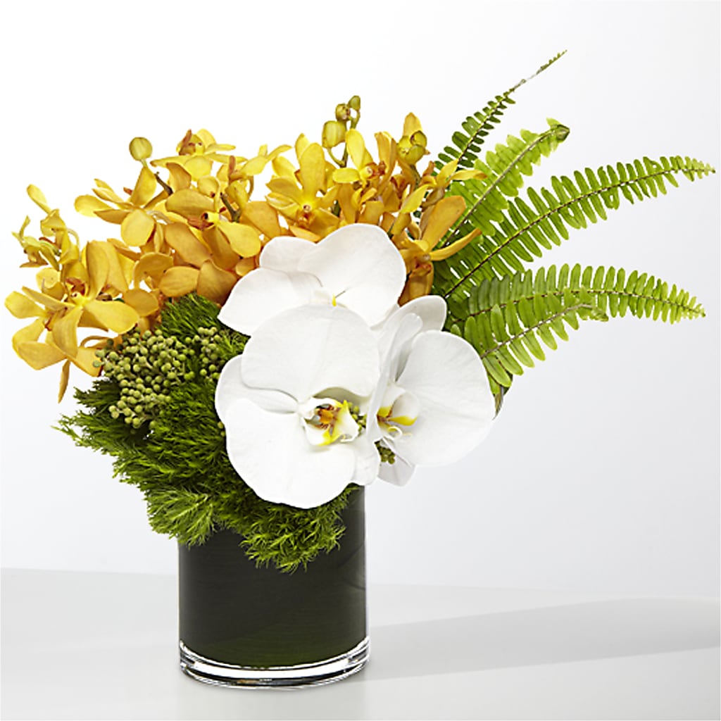 The Tropics –  Print A Bunch Florists, Orleans ON