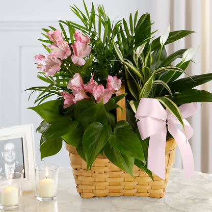 Living Spirit Dishgarden –  Print A Bunch Florists, Orleans ON