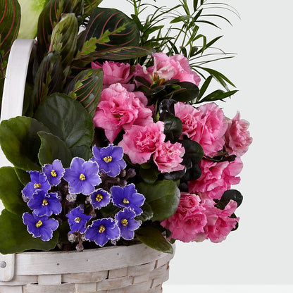 Peaceful Garden Planter –  Print A Bunch Florists, Orleans ON