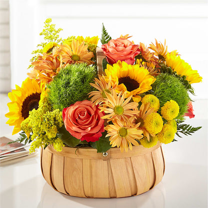 Harvest Sunflower Basket –  Print A Bunch Florists, Orleans ON
