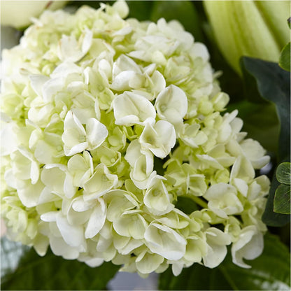 Classic Ivory – A Florist Original –  Print A Bunch Florists, Orleans ON