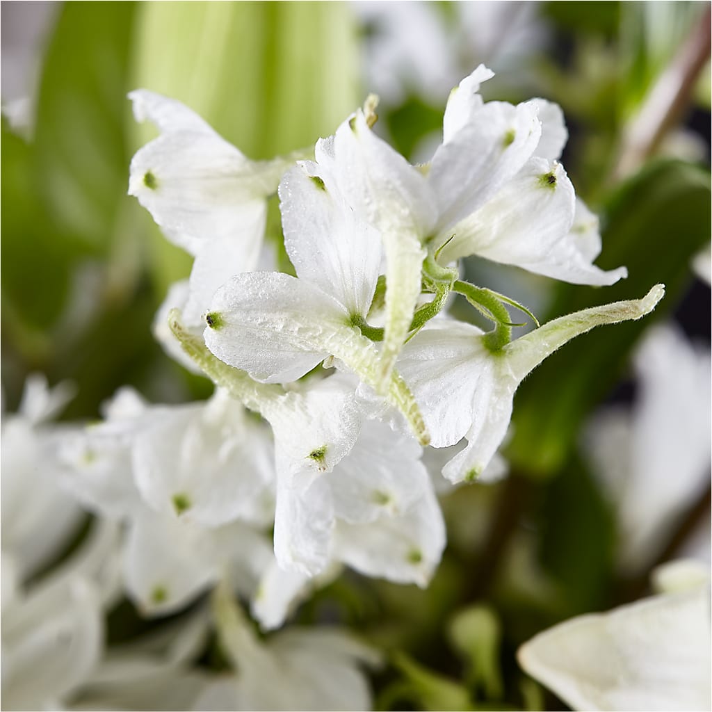 Classic Ivory – A Florist Original –  Print A Bunch Florists, Orleans ON