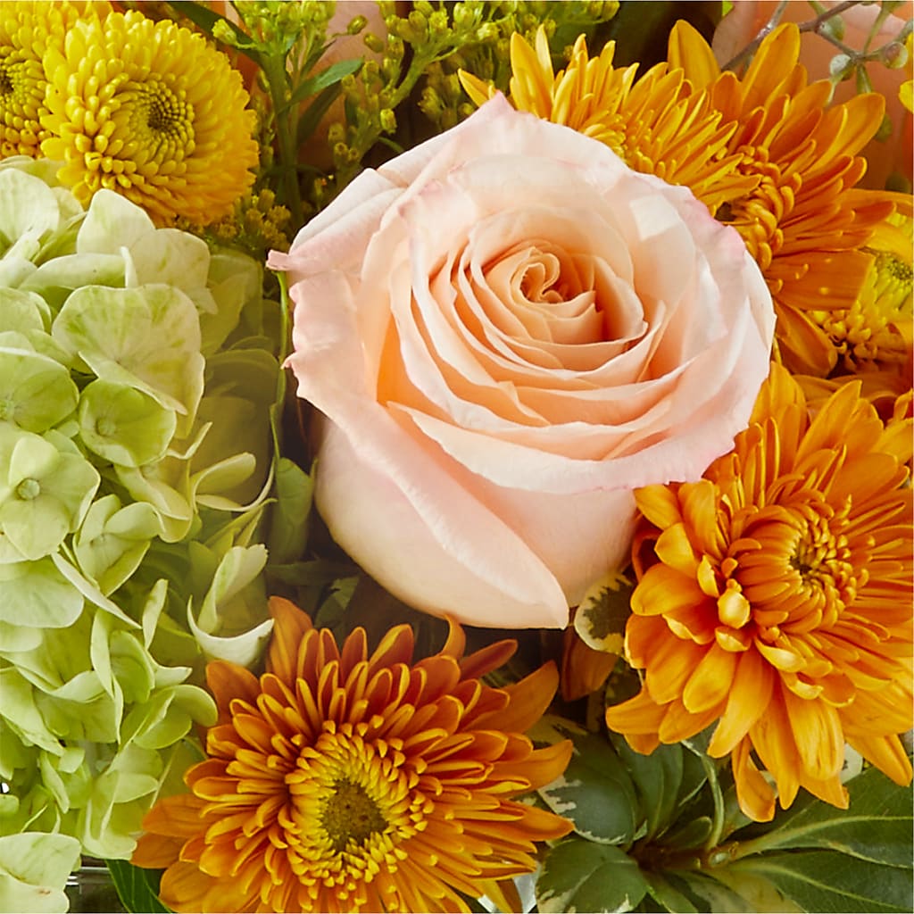 Fall Foliage Bouquet –  Print A Bunch Florists, Orleans ON