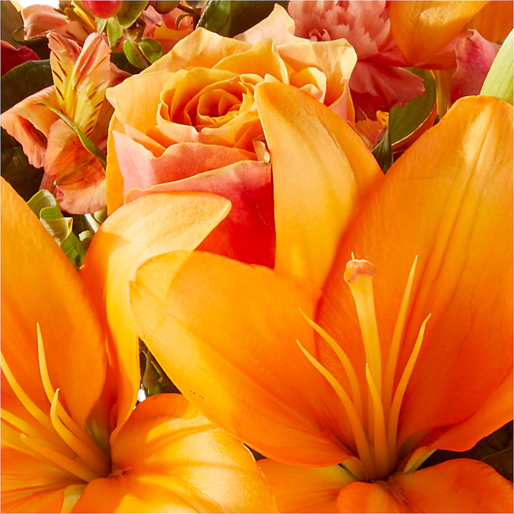 Afternoon Light Bouquet –  Print A Bunch Florists, Orleans ON