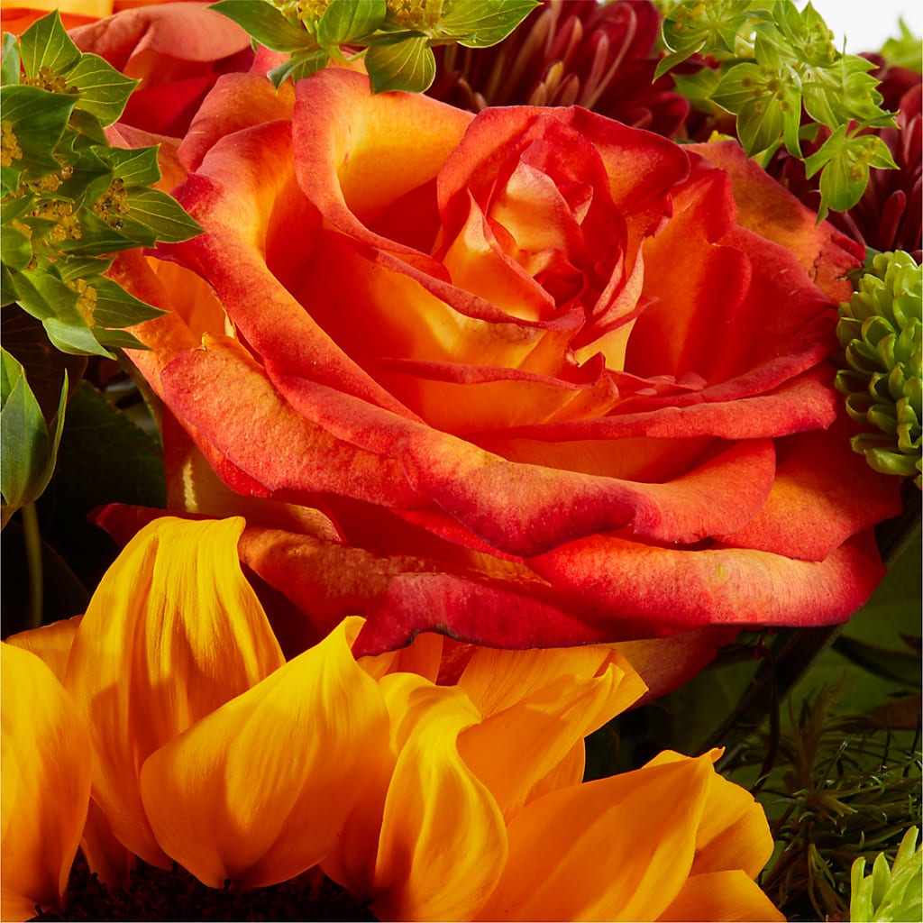 Harvest Festival Bouquet –  Print A Bunch Florists, Orleans ON