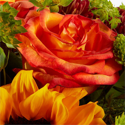 Harvest Festival Bouquet –  Print A Bunch Florists, Orleans ON