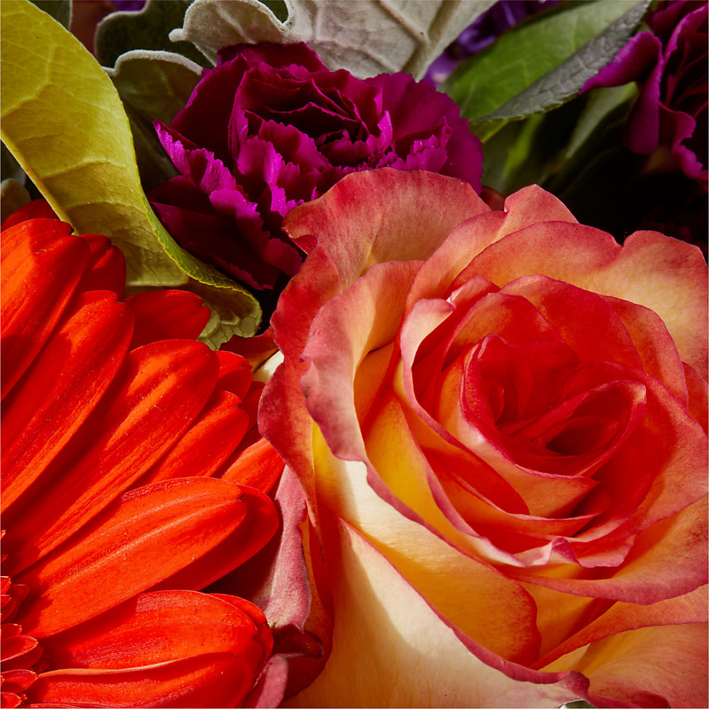 Sangria Bouquet –  Print A Bunch Florists, Orleans ON