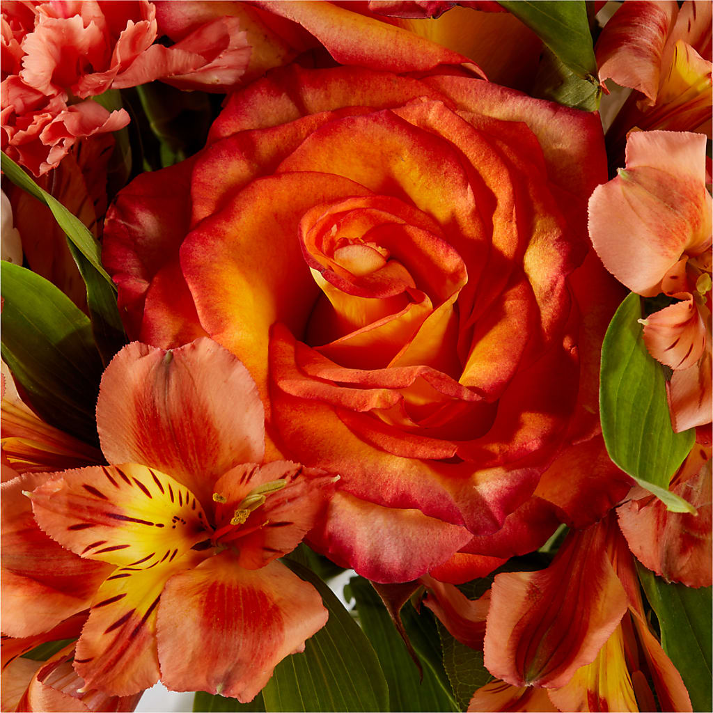 Apricot Glow Bouquet –  Print A Bunch Florists, Orleans ON
