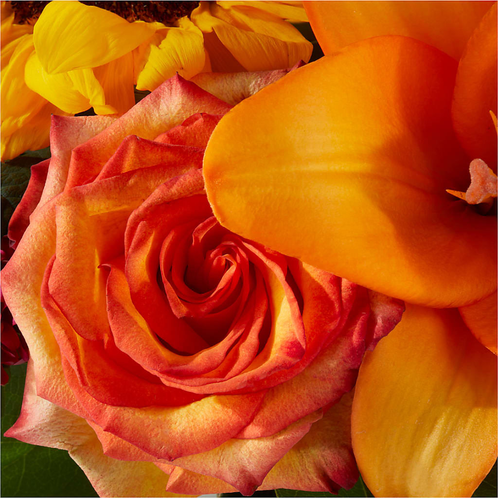 Grateful Centerpiece –  Print A Bunch Florists, Orleans ON