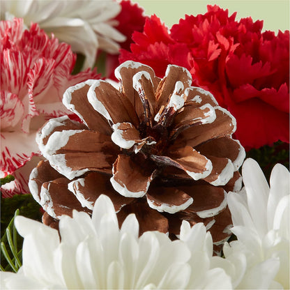 Candy Cane Lane Bouquet –  Print A Bunch Florists, Orleans ON