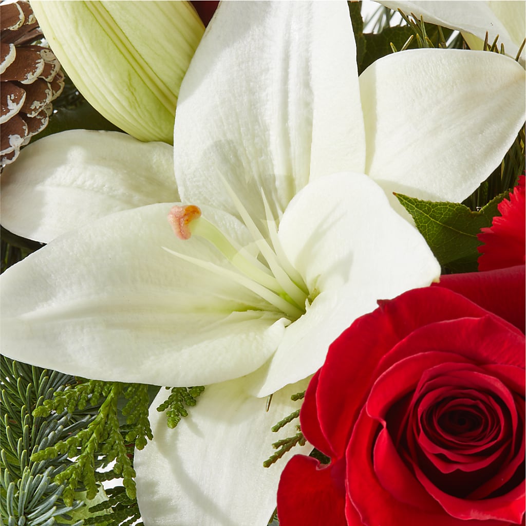Oh So Jolly Bouquet –  Print A Bunch Florists, Orleans ON