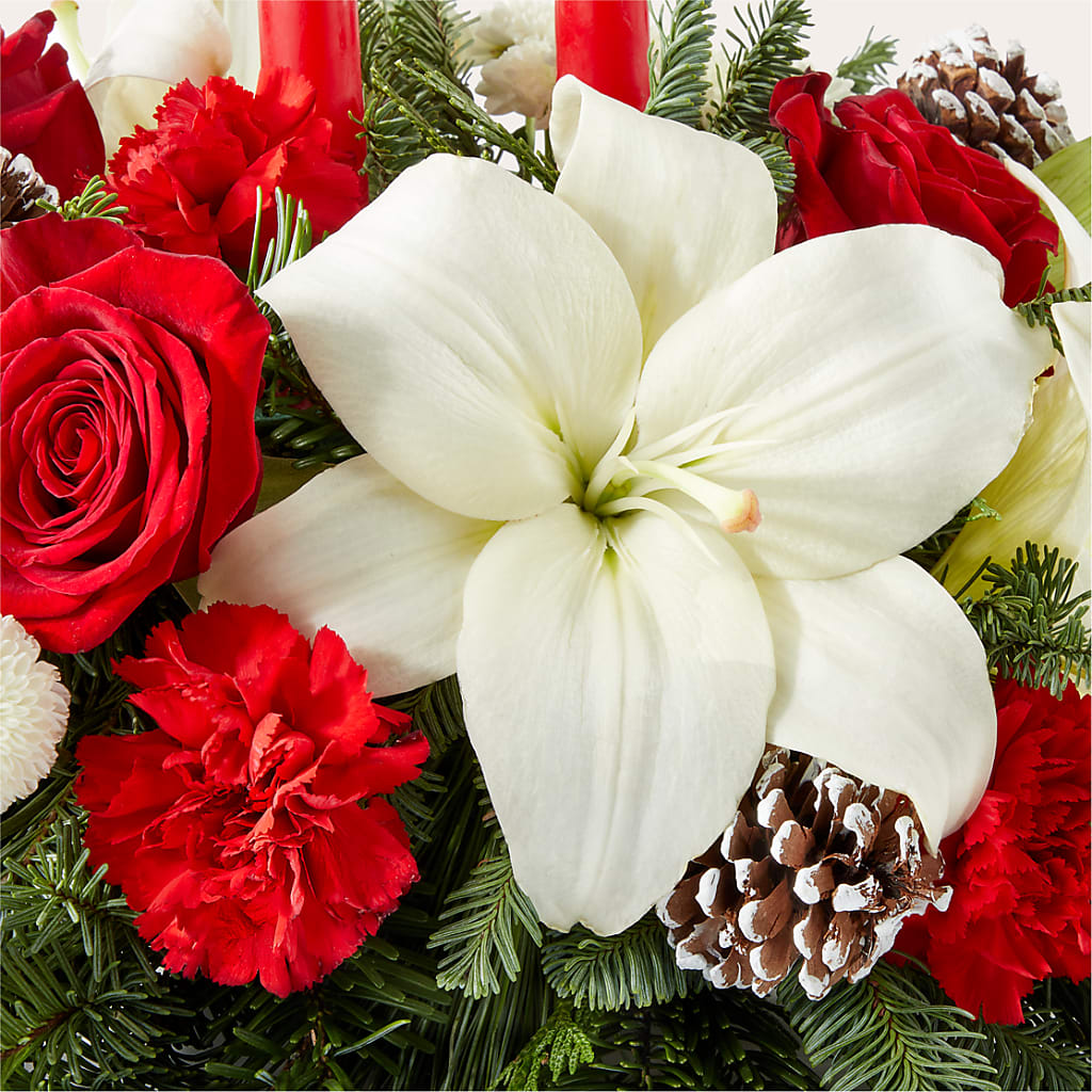 Seasonal Festivities Centerpiece –  Print A Bunch Florists, Orleans ON