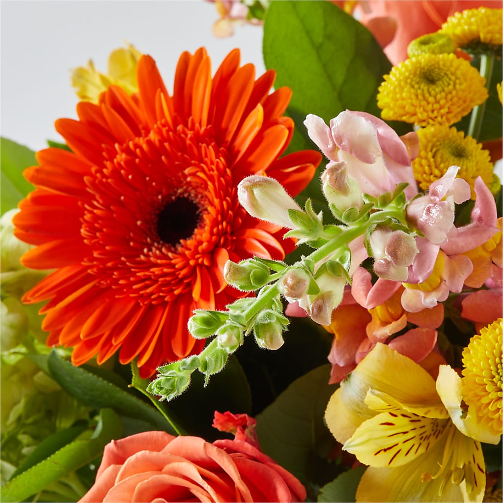 Autumn Sunshine Bouquet –  Print A Bunch Florists, Orleans ON