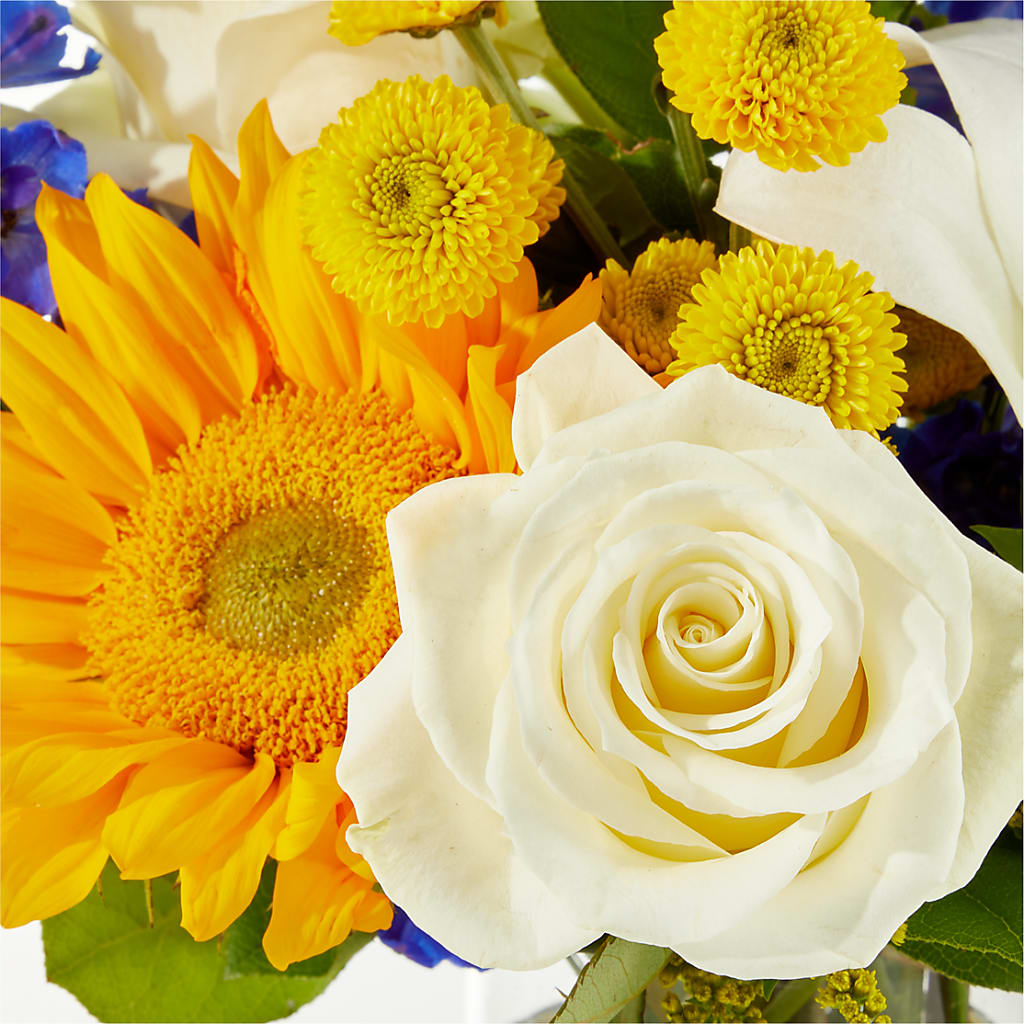Stargazing Bouquet –  Print A Bunch Florists, Orleans ON