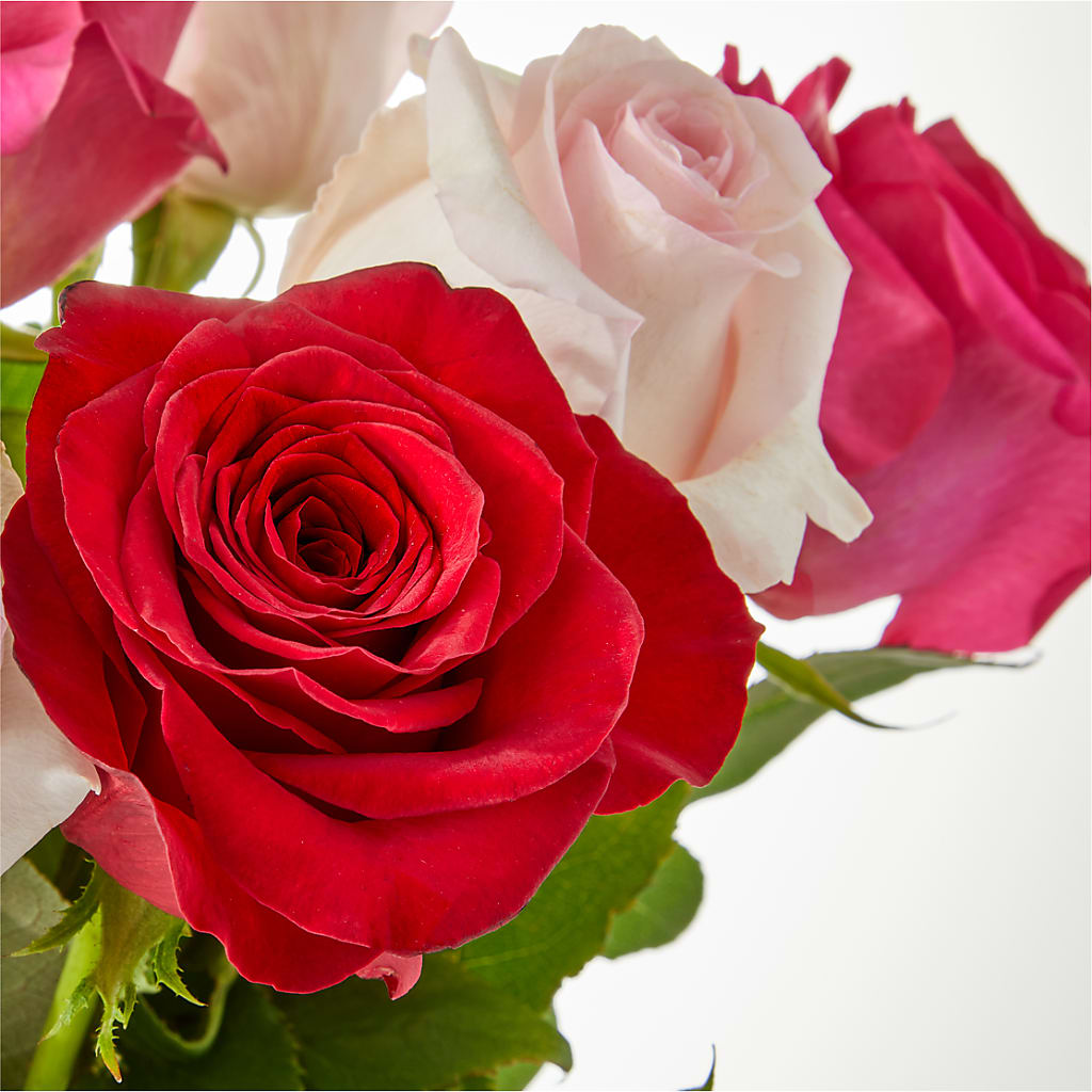 Charming Rose Bouquet –  Print A Bunch Florists, Orleans ON