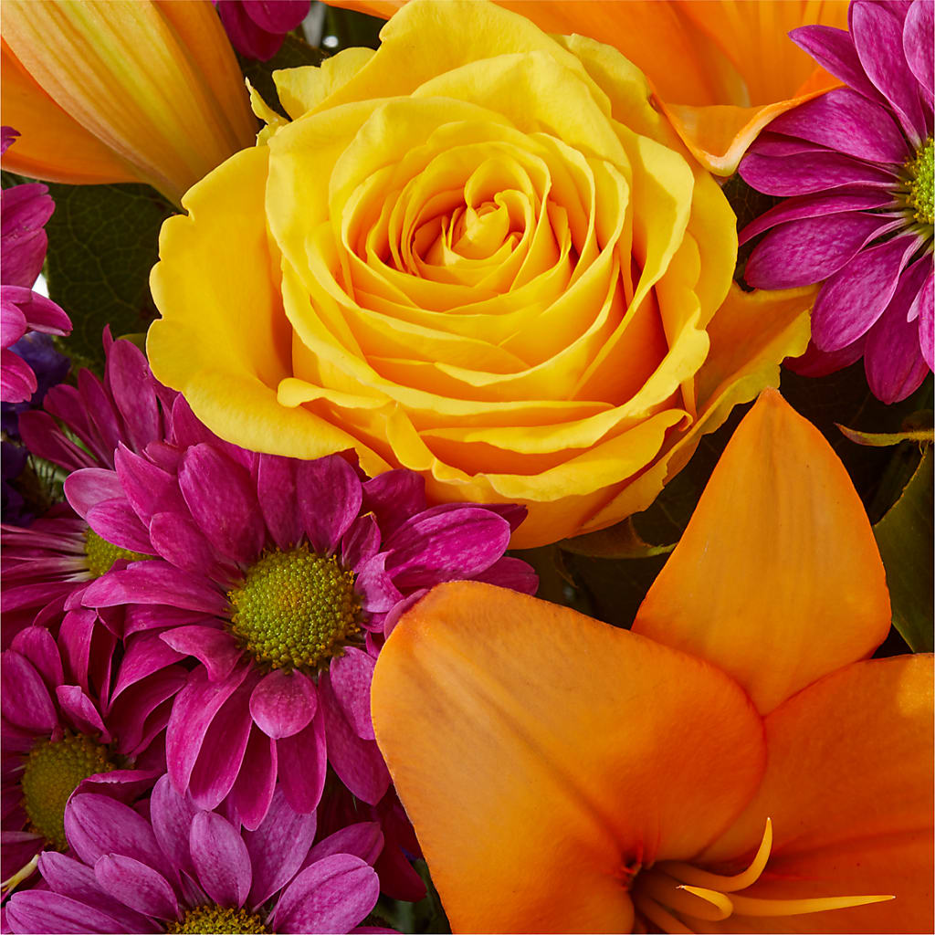 Colorful Visions Bouquet –  Print A Bunch Florists, Orleans ON