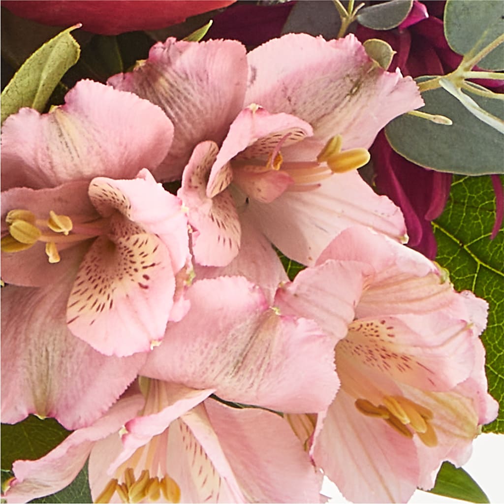 Berry Cobbler Bouquet –  Print A Bunch Florists, Orleans ON